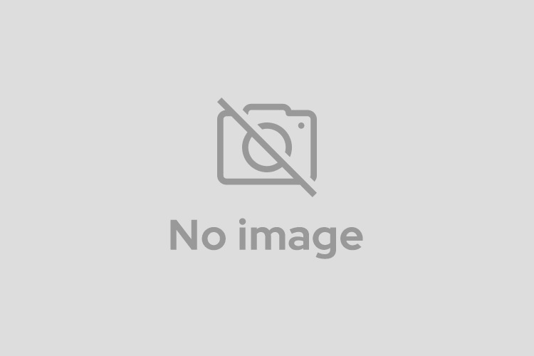 はじめてのWebサイトプラン